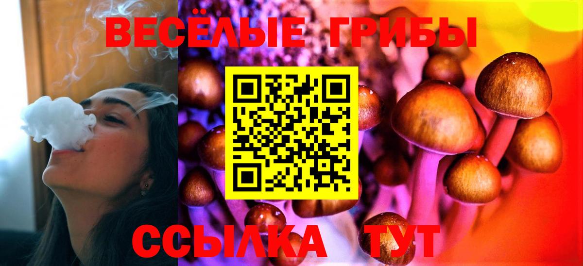 Псилоцибиновые грибы Psilocybine cubensis Переславль-Залесский