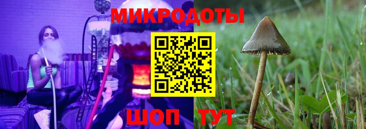Переславль-Залесский  Псилоцибиновые грибы Psilocybine cubensis  Вход с VPN 